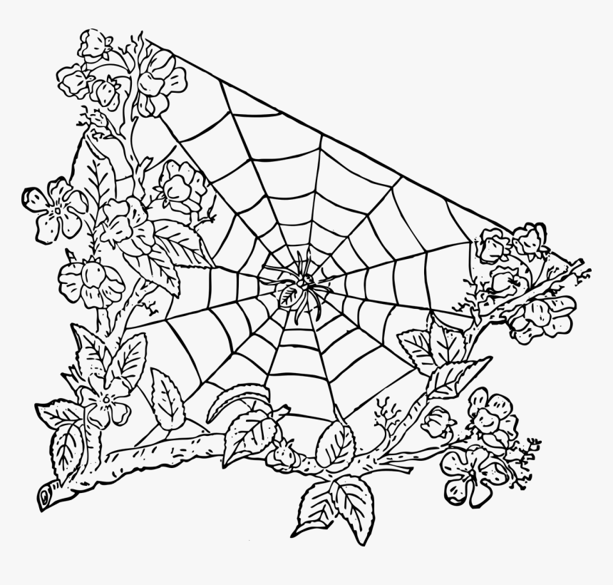 Spider Spider Web Halloween Free Photo - Papel De Parede Teia De Aranha, HD Png Download