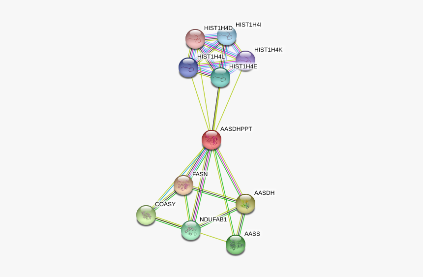 Aasdhppt Protein - Circle, HD Png Download