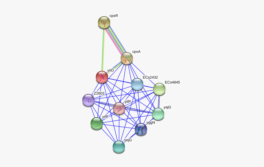 Yiio Protein - Circle, HD Png Download