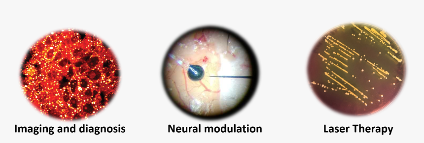 Circle, HD Png Download