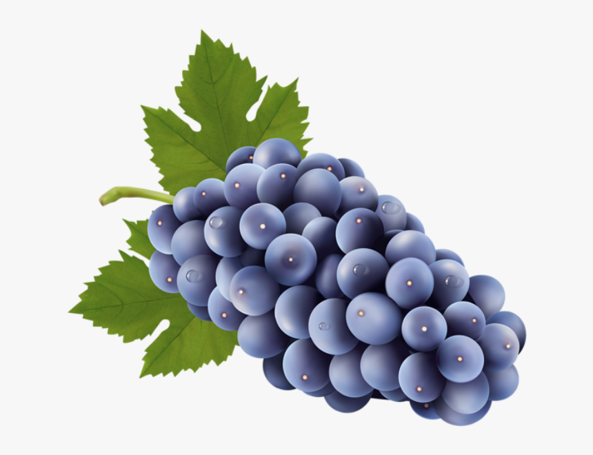 Imagem De Frutas - Grapes Clipart Png, Transparent Png