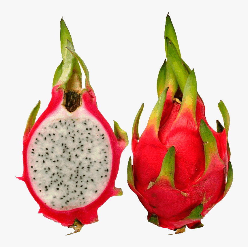 Pitaya Fruit Images Dragon Fruit Pictures Clip Art - Cách Trông Thanh Long Bằng Hạt, HD Png Download