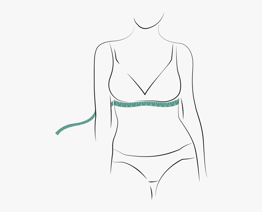 Line Art, HD Png Download