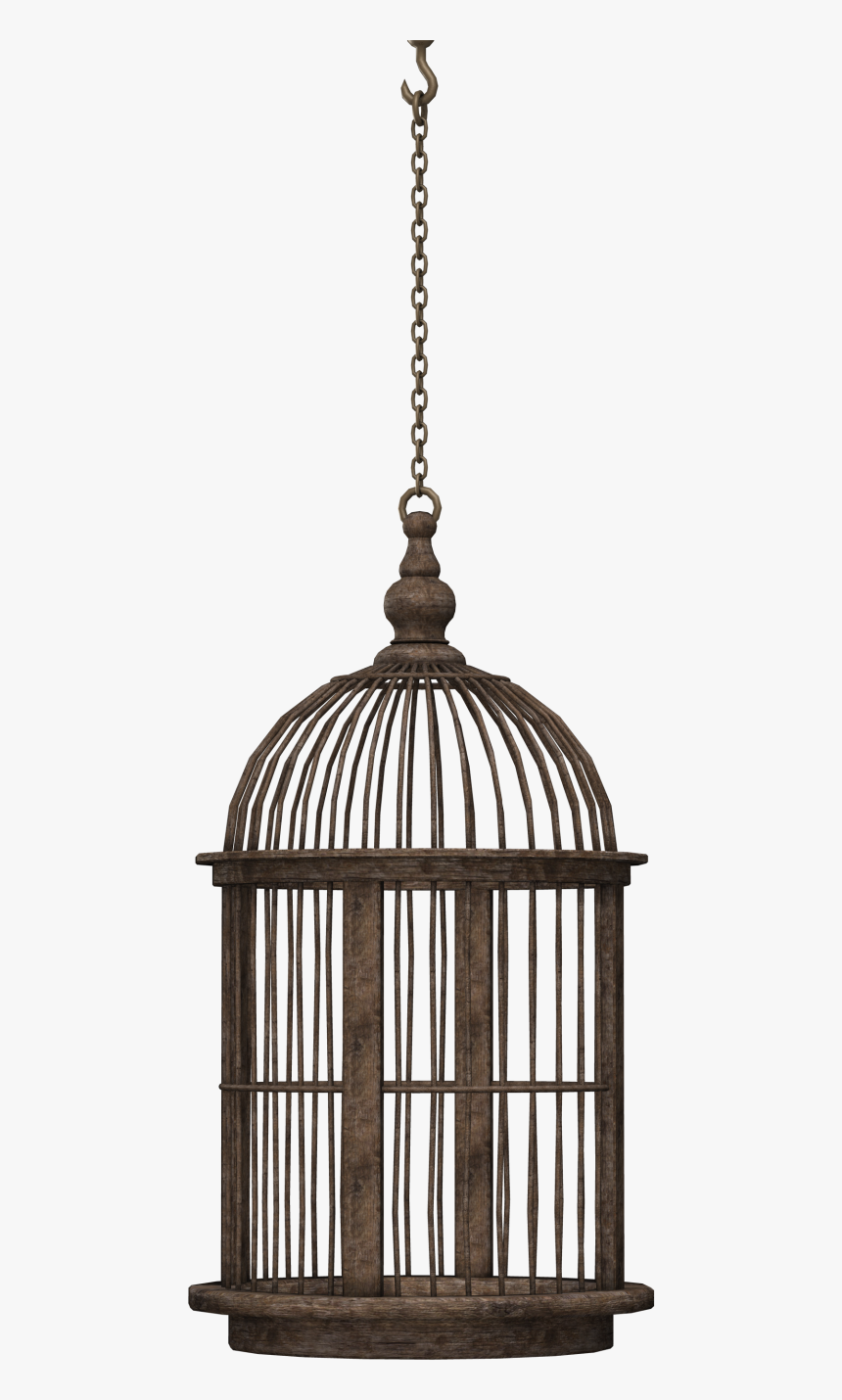 Bird Cage Png Image - Bird Cages Png, Transparent Png