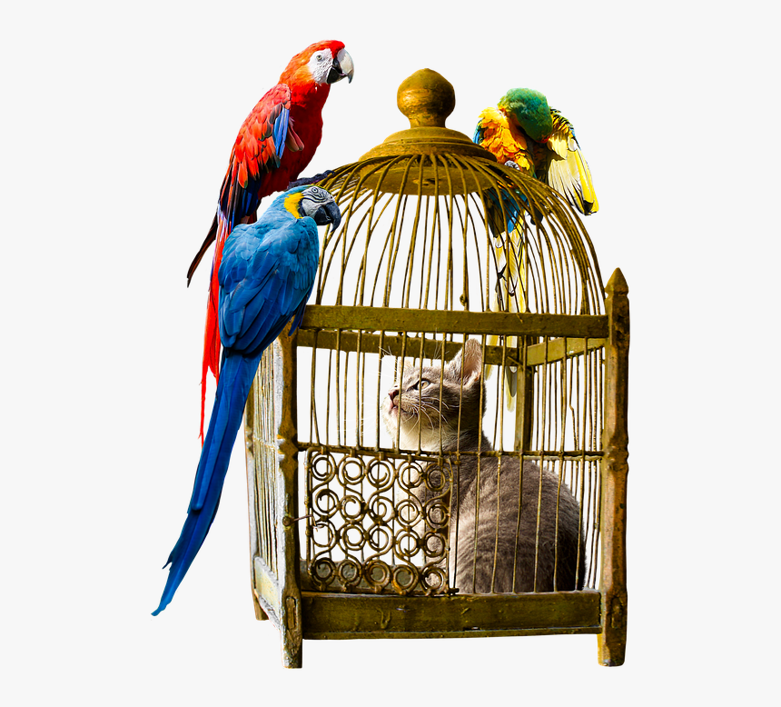 If You Care About What Other People Think You Will, HD Png Download