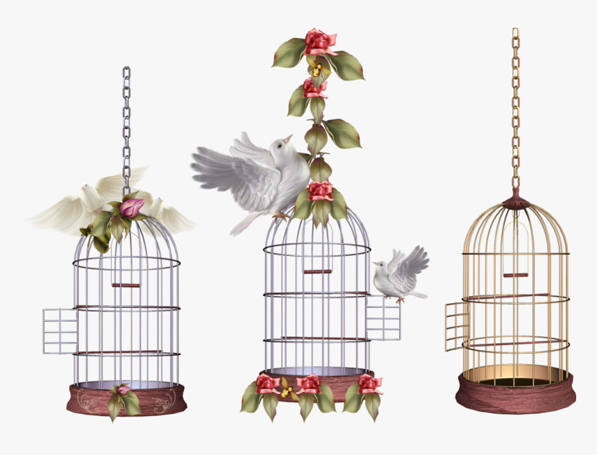 White Bird Cage Png Image - Клетка С Птицей Png, Transparent Png