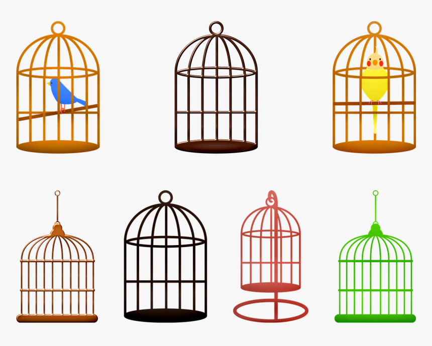 Birdcage Birds Colorful Free Photo - Birds, HD Png Download