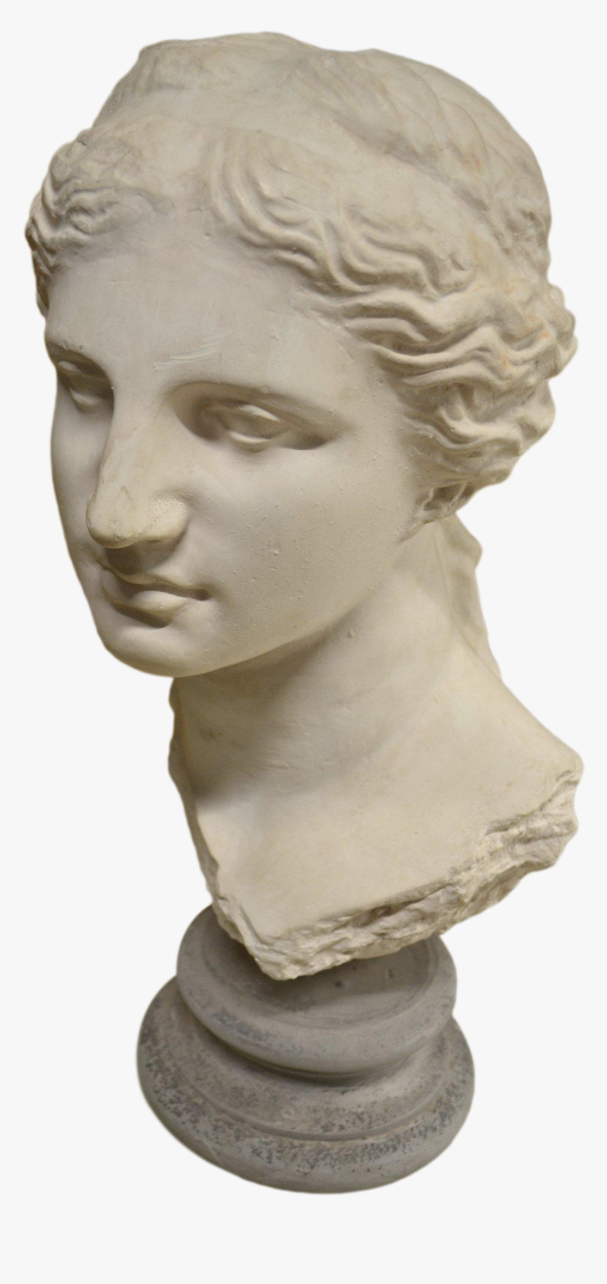Bust, HD Png Download