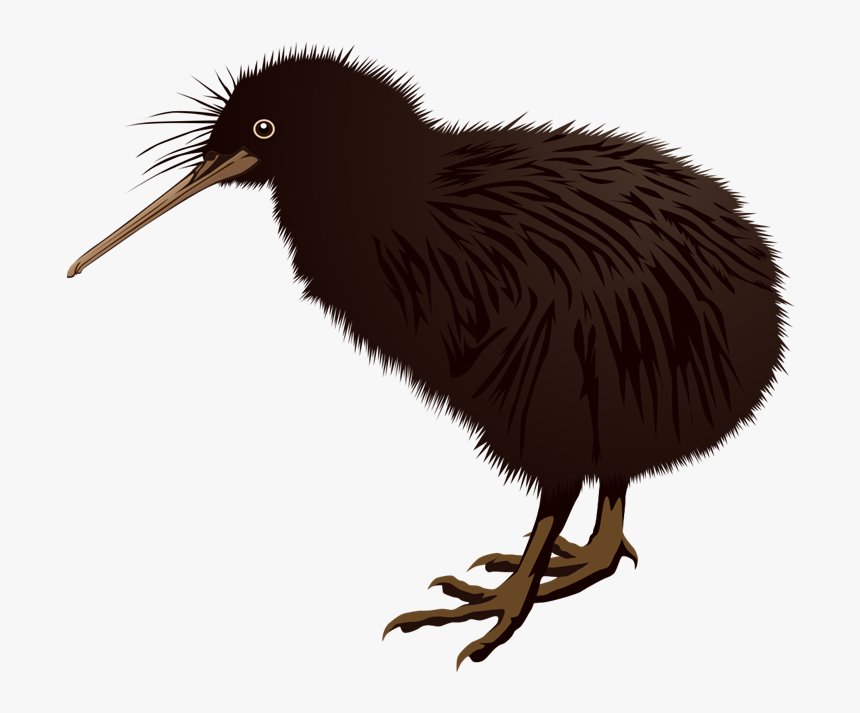 Pin Bird Clipart Kiwi - Kiwi Bird Clipart Png, Transparent Png