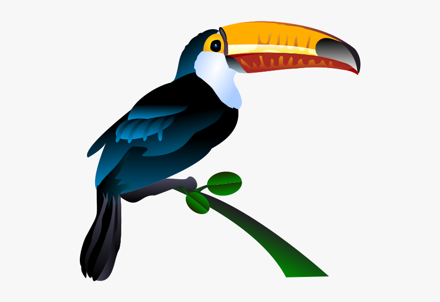 Free To Use Amp Public Domain Toucan Clip Art - Keel Billed Toucan Clipart, HD Png Download