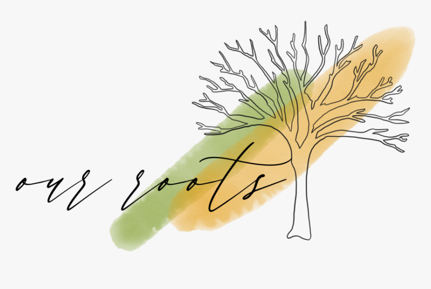 Roots - Sketch, HD Png Download