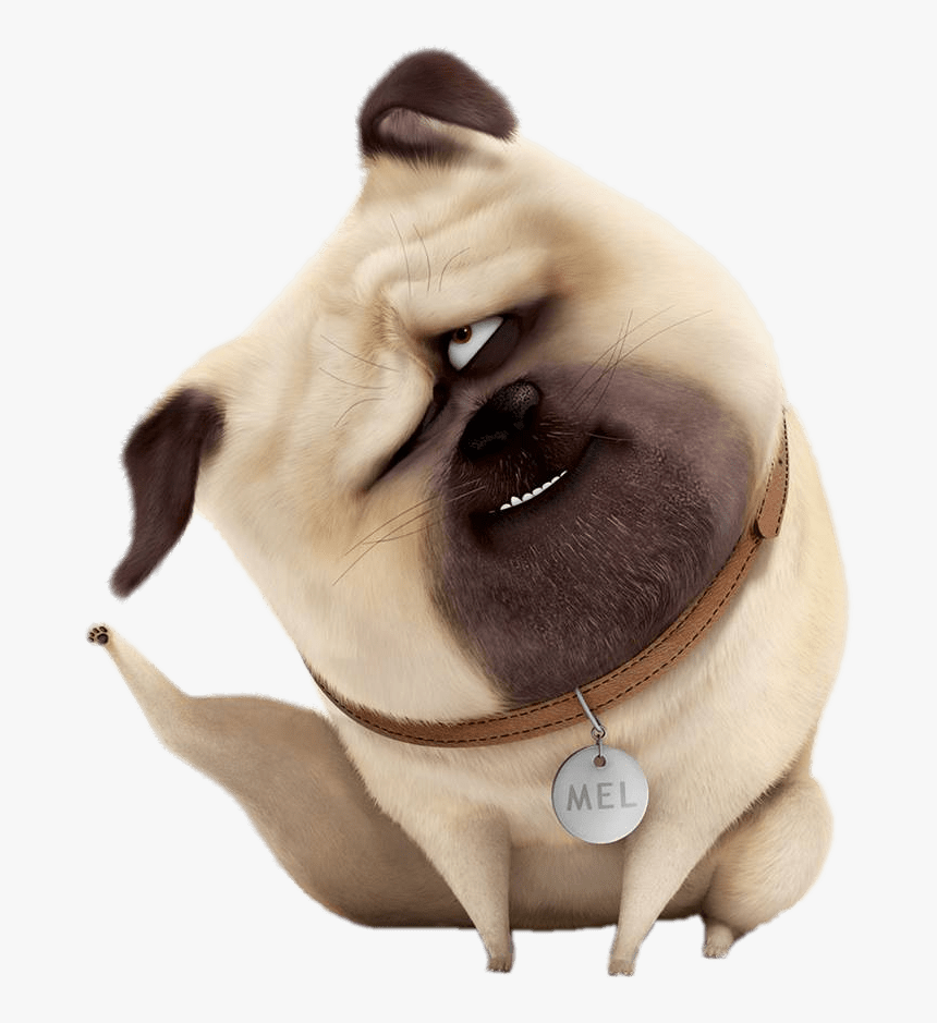 Mel Scratching - Mel In Secret Life Of Pets, HD Png Download