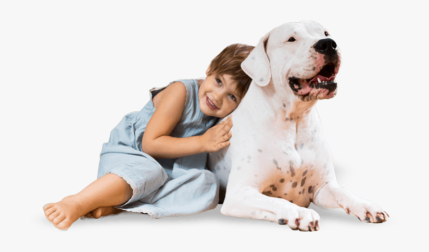 Feliz Dia Das Crianças Pet, HD Png Download