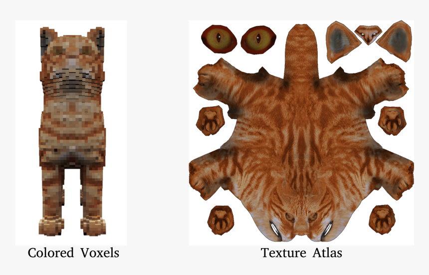 Felidae, HD Png Download