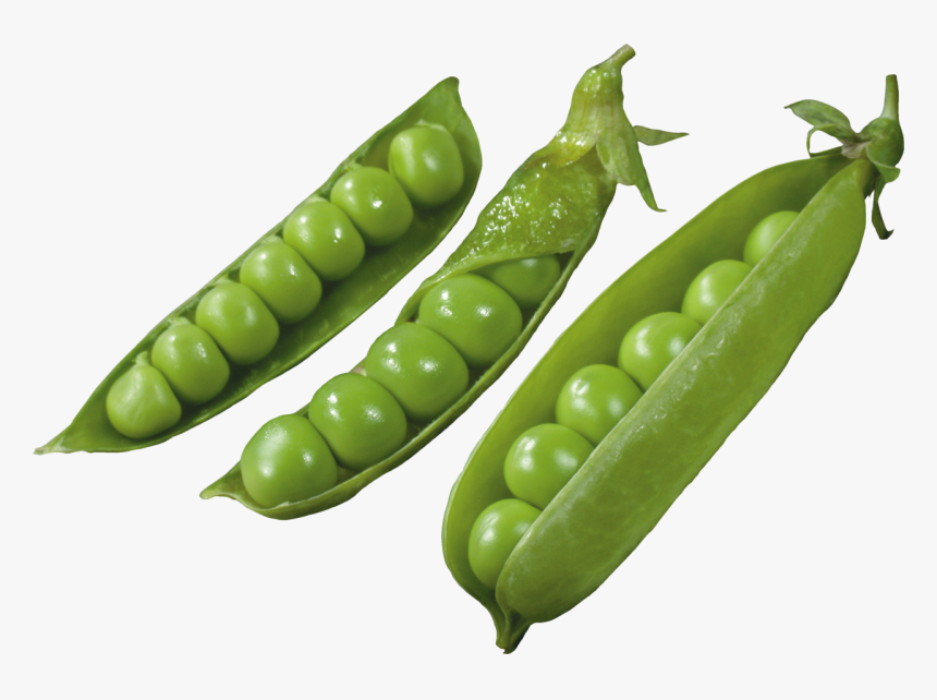 Three Pods With Peas Png Image - Горох Клипарт, Transparent Png