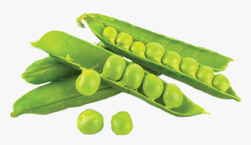 Green Peas Images Hd, HD Png Download