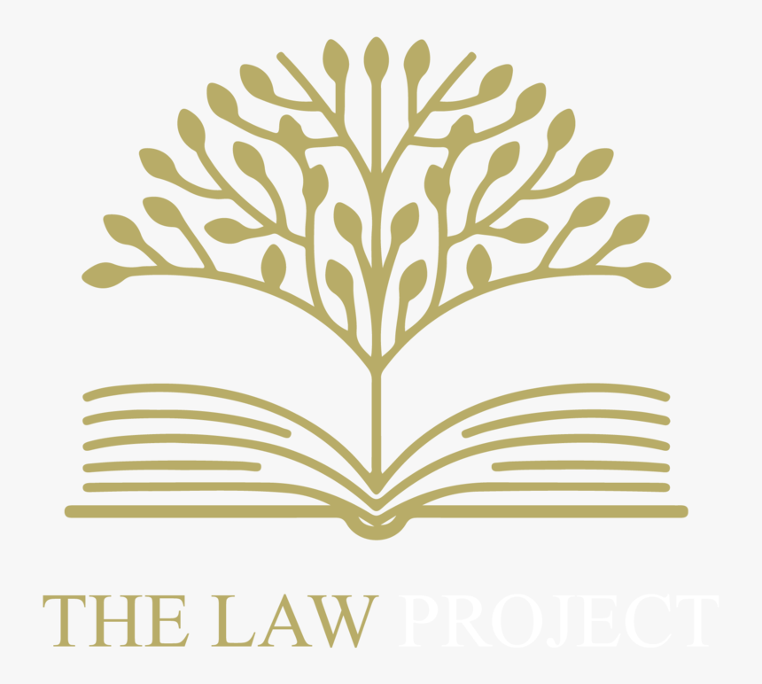 Transparent Dislike Png - Aiasha Amir, Png Download