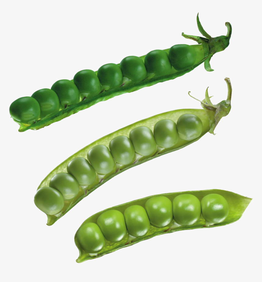 Peas Clipart Transparent Background, HD Png Download