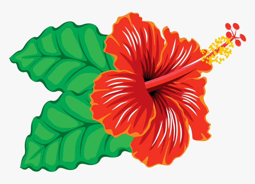 Hawaiian Hibiscus , Png Download - Hawaiian Hibiscus, Transparent Png
