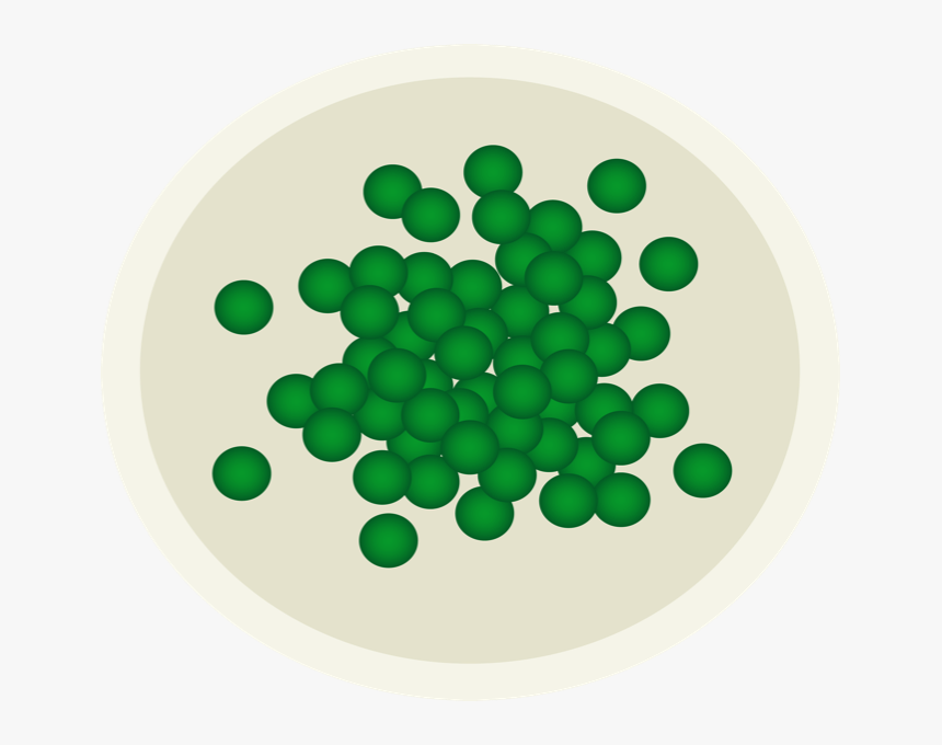 Peas Png, Transparent Png