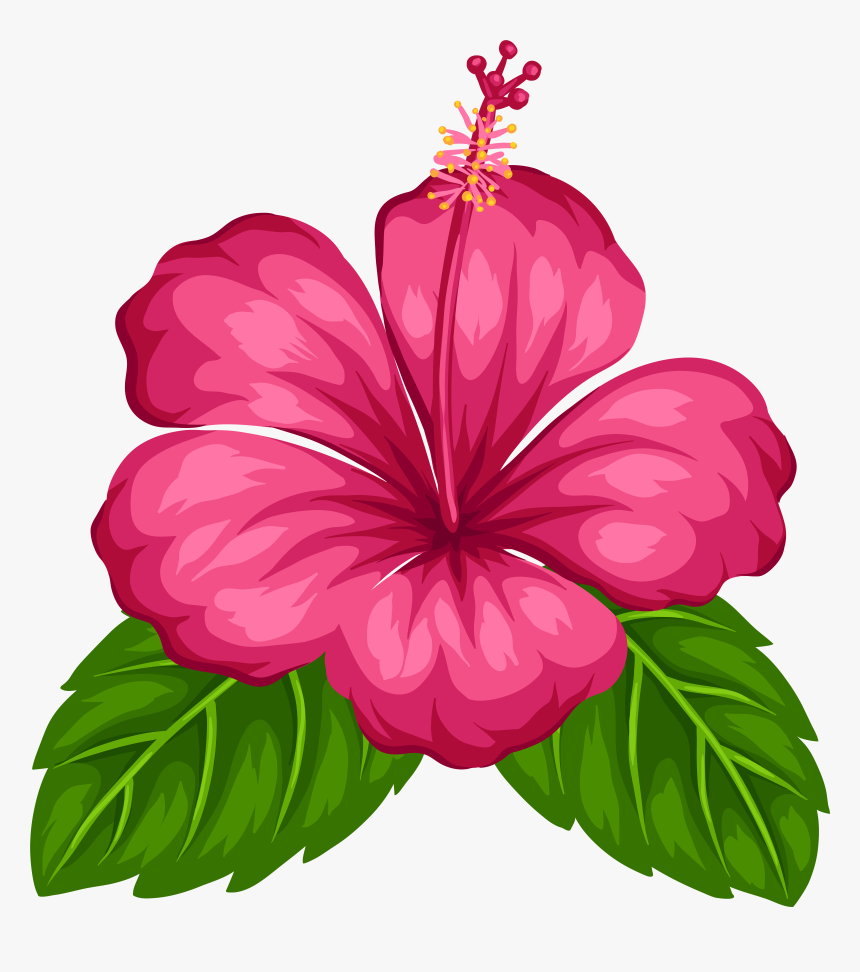 Hawaiian Png, Transparent Png