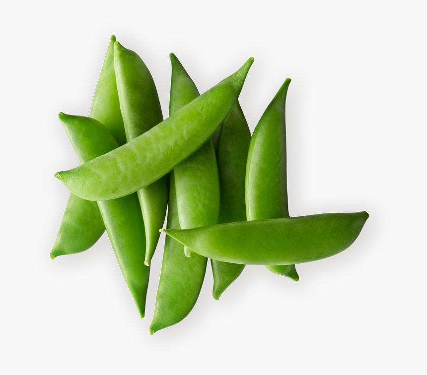 Snap Pea, HD Png Download