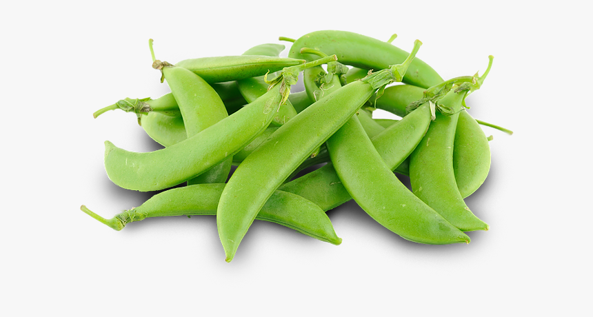 Sugar Snap, HD Png Download