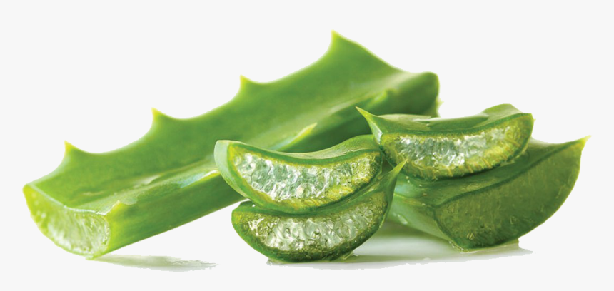 Aloe Vera Gel Png Pic - Aloe Vera Gel Leaf, Transparent Png