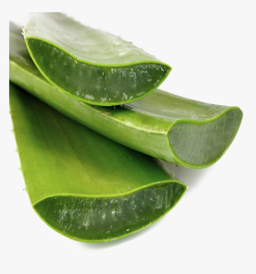 Aloe Vera Png Transparent Image - Natural Aloe Vera Gel, Png Download