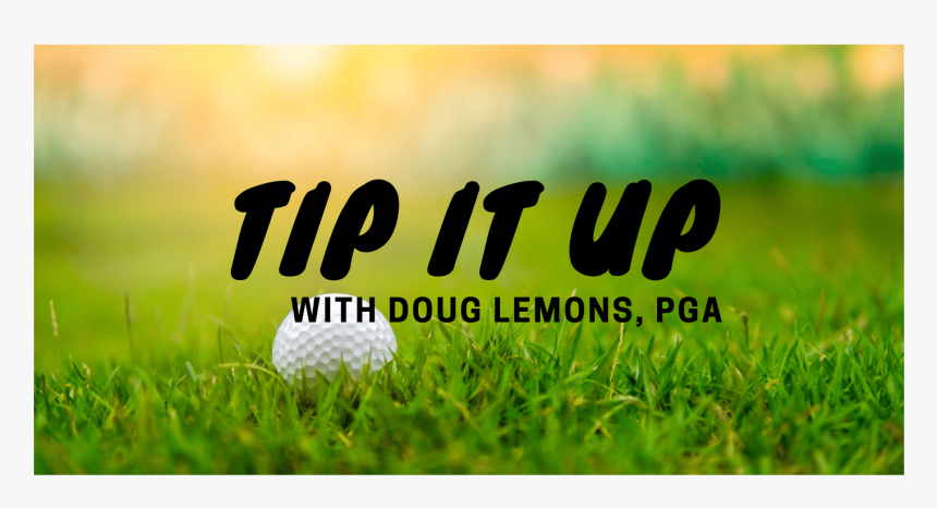 Grass, HD Png Download