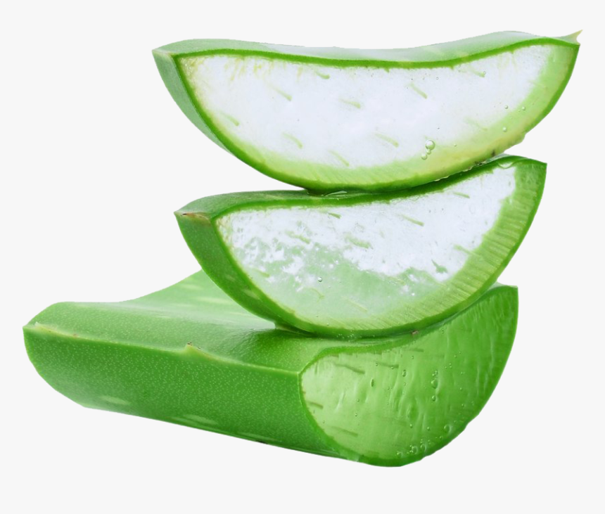 Aloe Vera Png Download Image - Aloe Vera Gel Png, Transparent Png