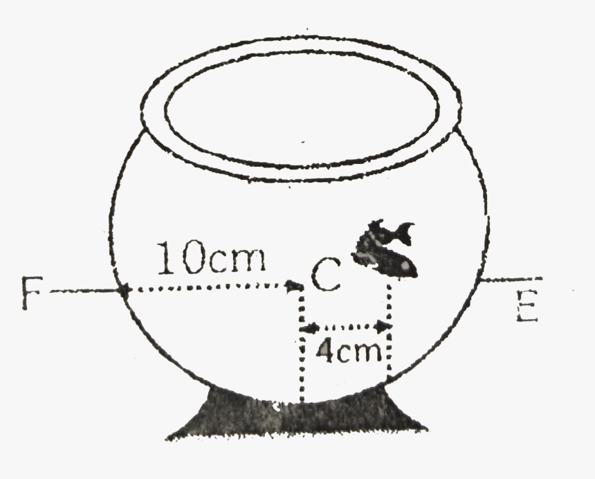 Circle, HD Png Download