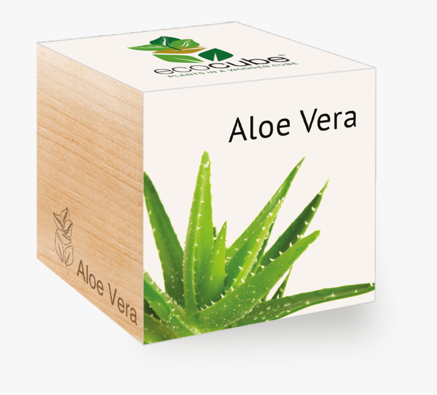 Ecobox Aloe Vera, HD Png Download