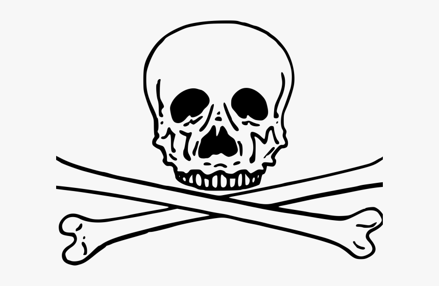 Skull Clipart Cross - Skeleton Head White Clipart, HD Png Download