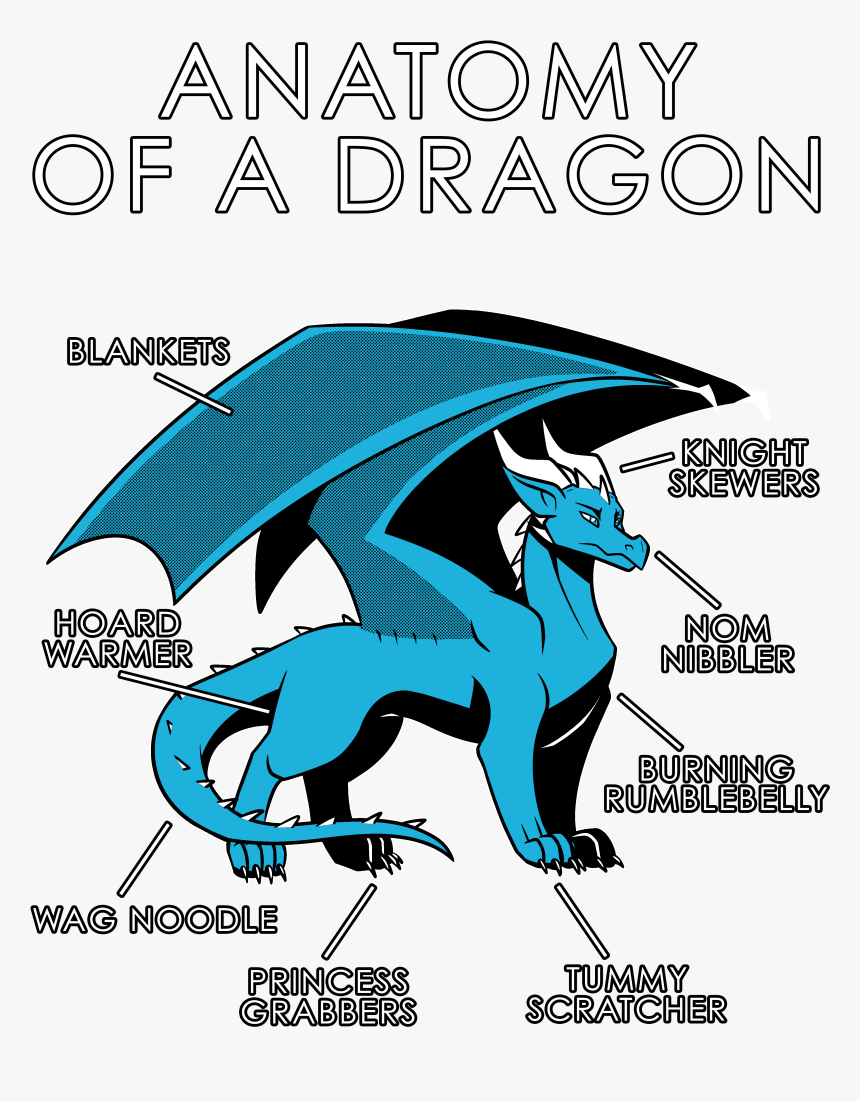 Anatomy Of A Dragon Shirt, HD Png Download