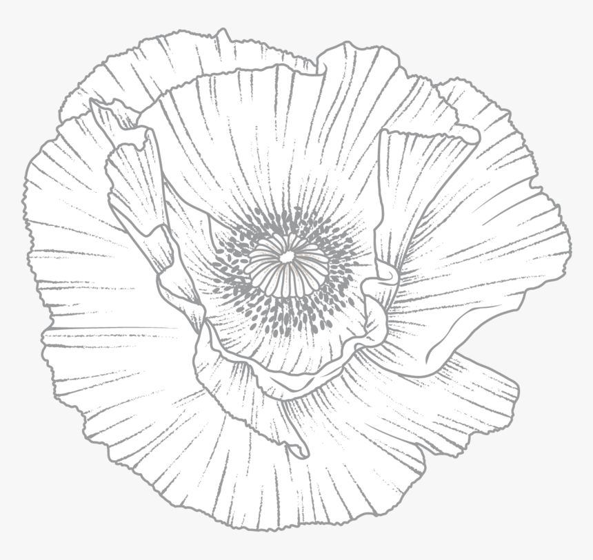 Pressure Gauge 0 300 Psi, HD Png Download