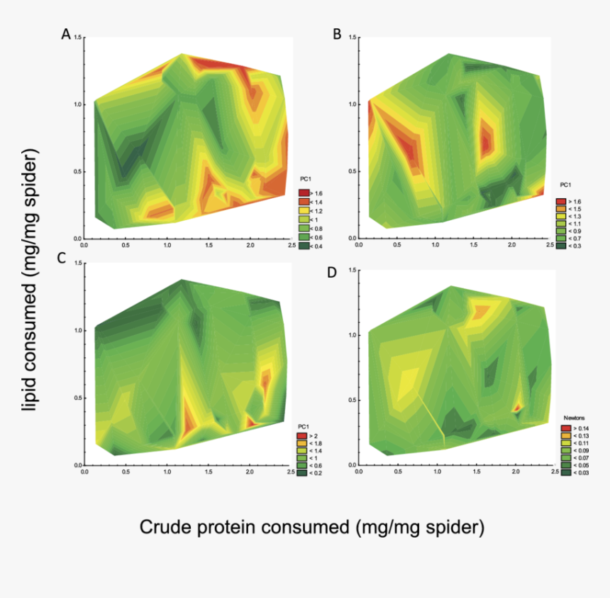 Computer Program, HD Png Download