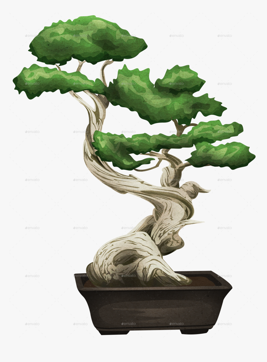 Transparent Bonsai Clipart - Bonsai Png, Png Download