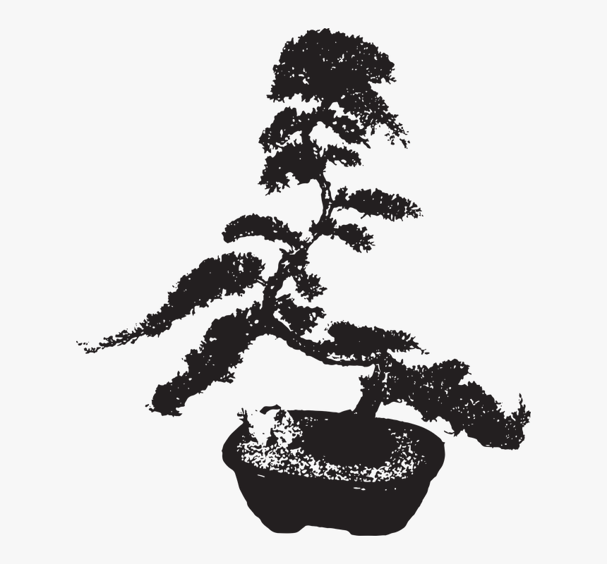 Sageretia Theezans, HD Png Download