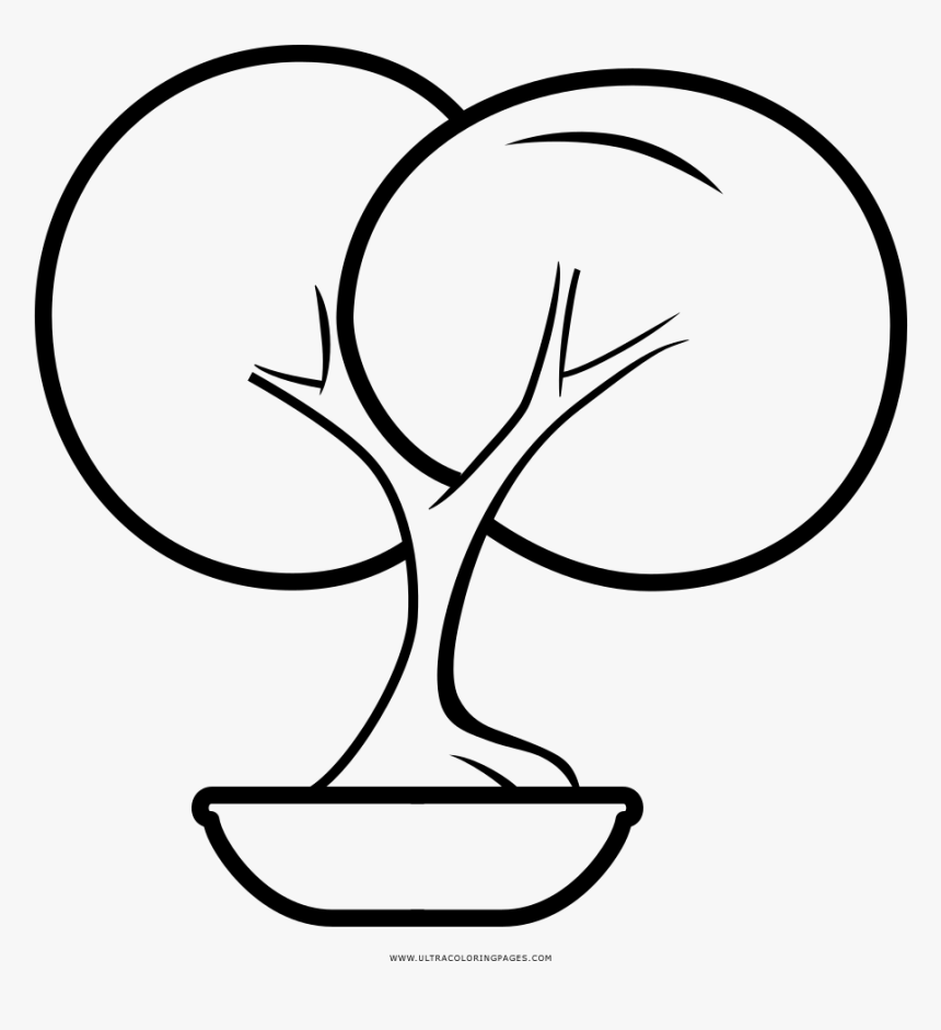 Bonsai Tree Coloring Page - Bonsai Para Dibujar, HD Png Download