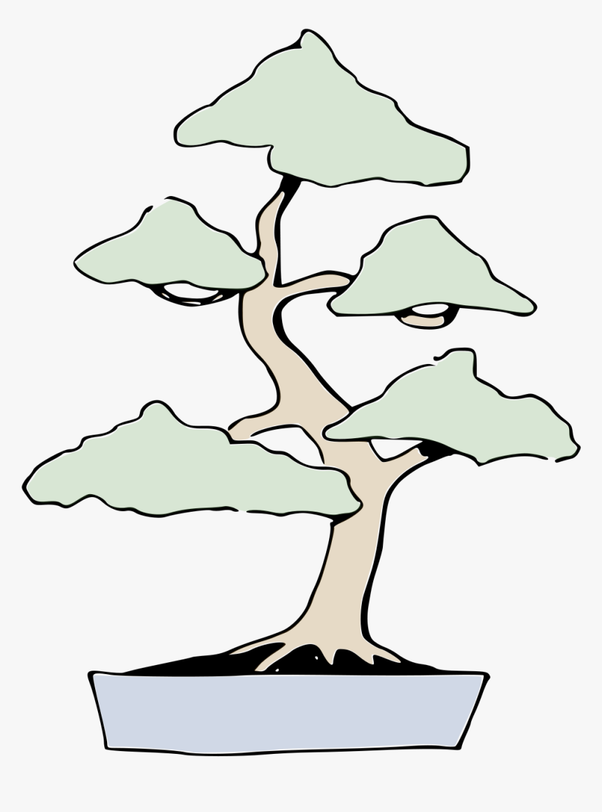 Bonsai, HD Png Download