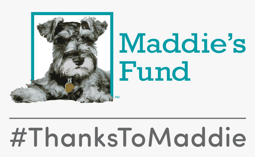 Maddie's Fund Thanks To Maddie, HD Png Download
