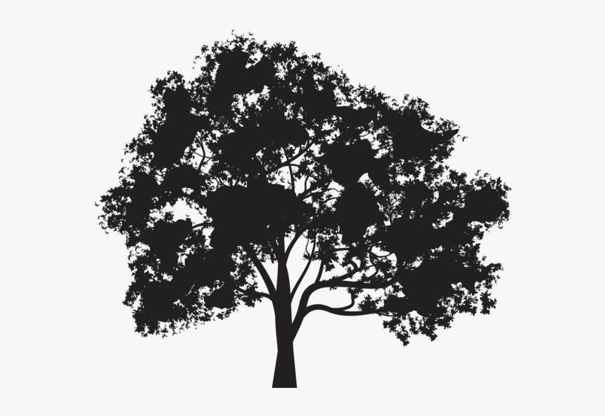 Transparent Oak Tree Silhouette Png, Png Download