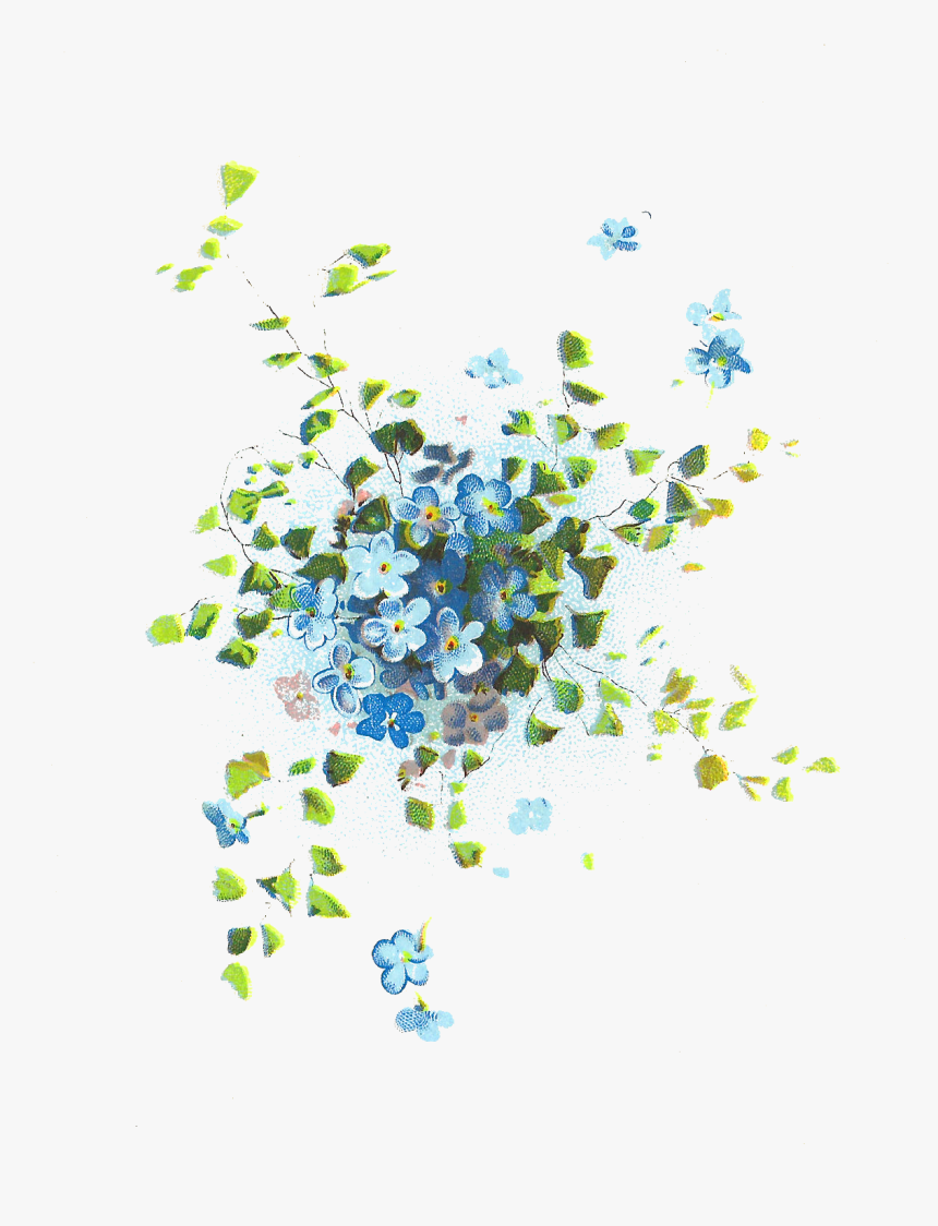 Forget Me Nots Graphics, HD Png Download