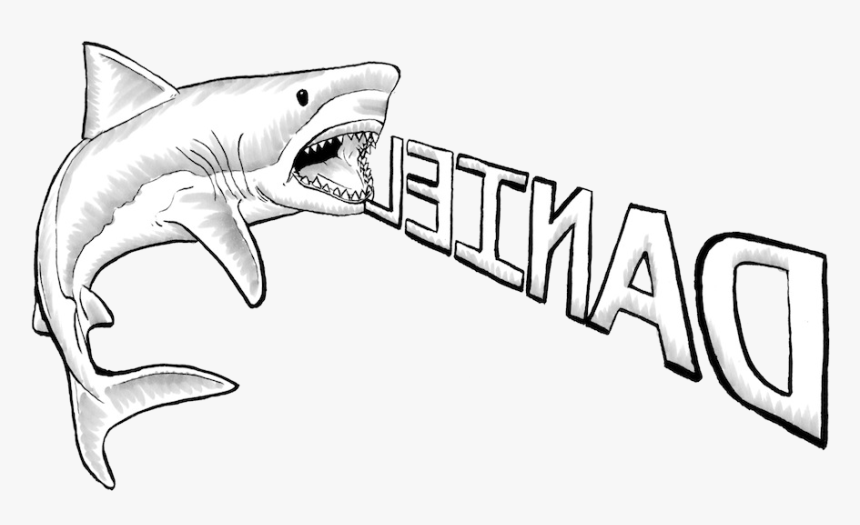 Great White Shark Drawing - Great White Shark Shark Drawing, HD Png Download