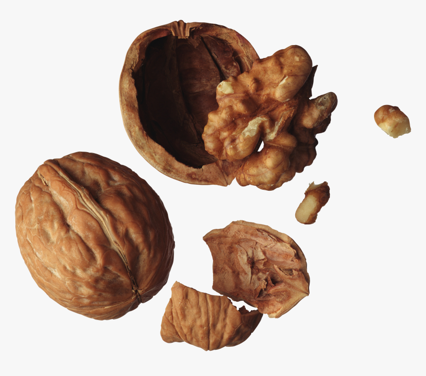 Walnut Png - Грецкий Орех Пнг, Transparent Png