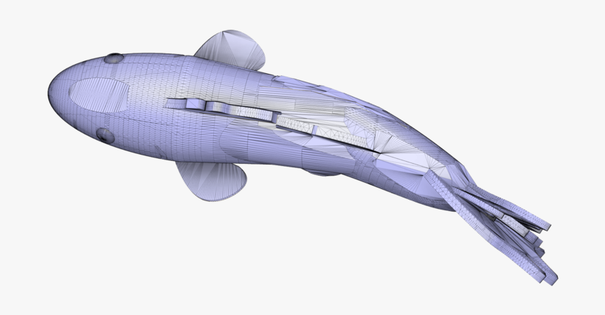Koi - Humpback Whale, HD Png Download