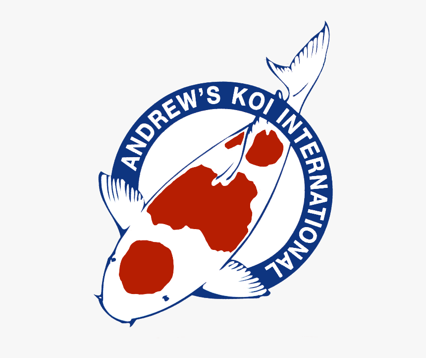 Koi Png, Transparent Png
