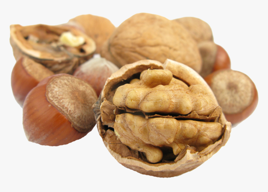 Walnut, HD Png Download