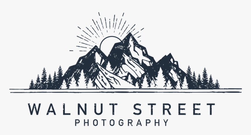Walnut Png, Transparent Png